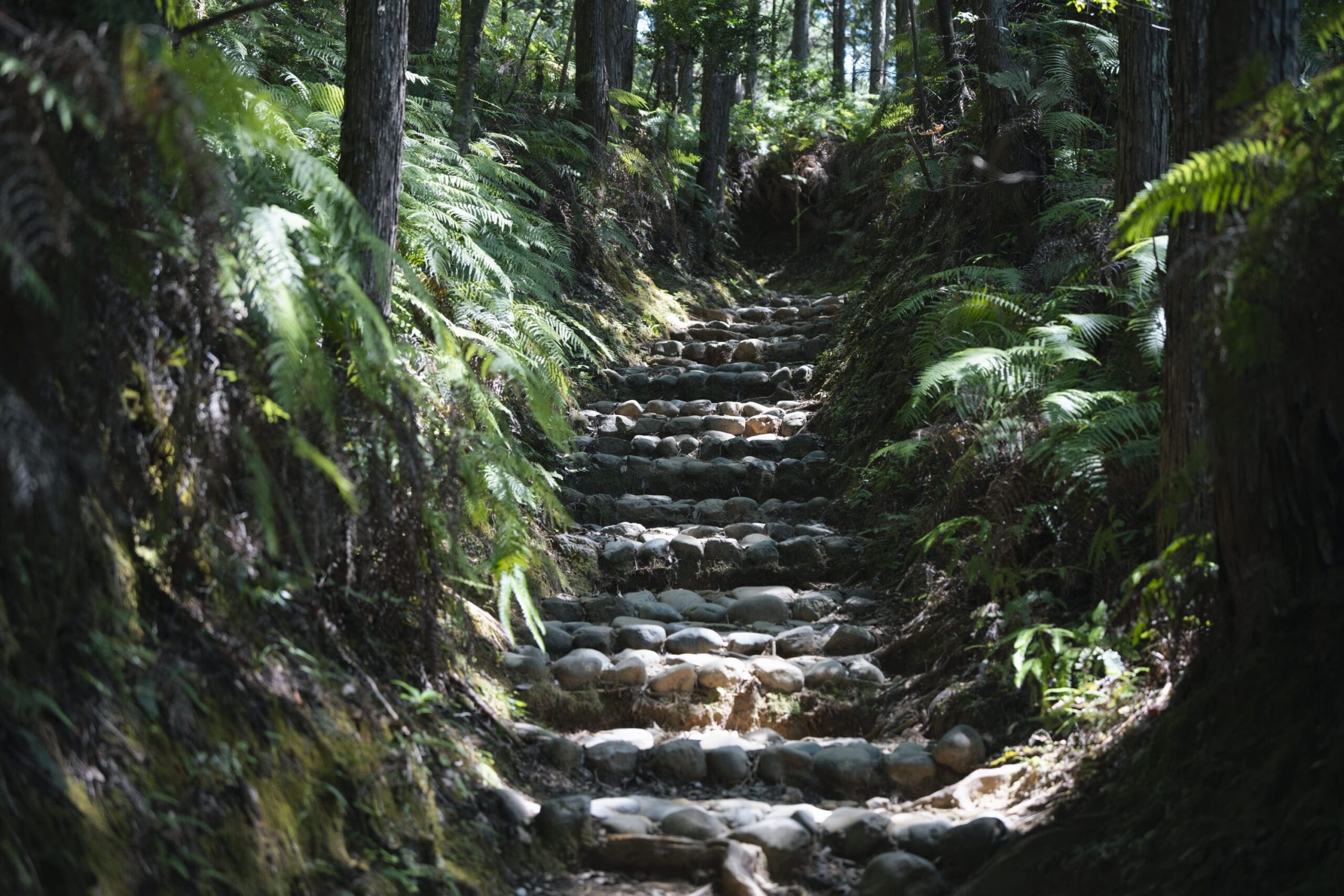 熊野古道中辺路