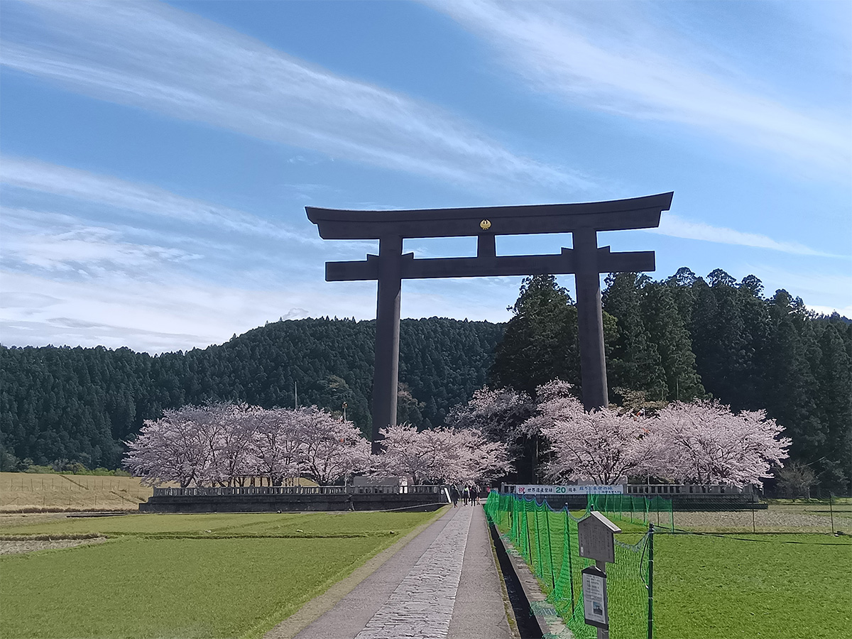 Hosshinmon-oji to Kumano Hongu Taisha & Oyunohara Walk with Licensed Guide