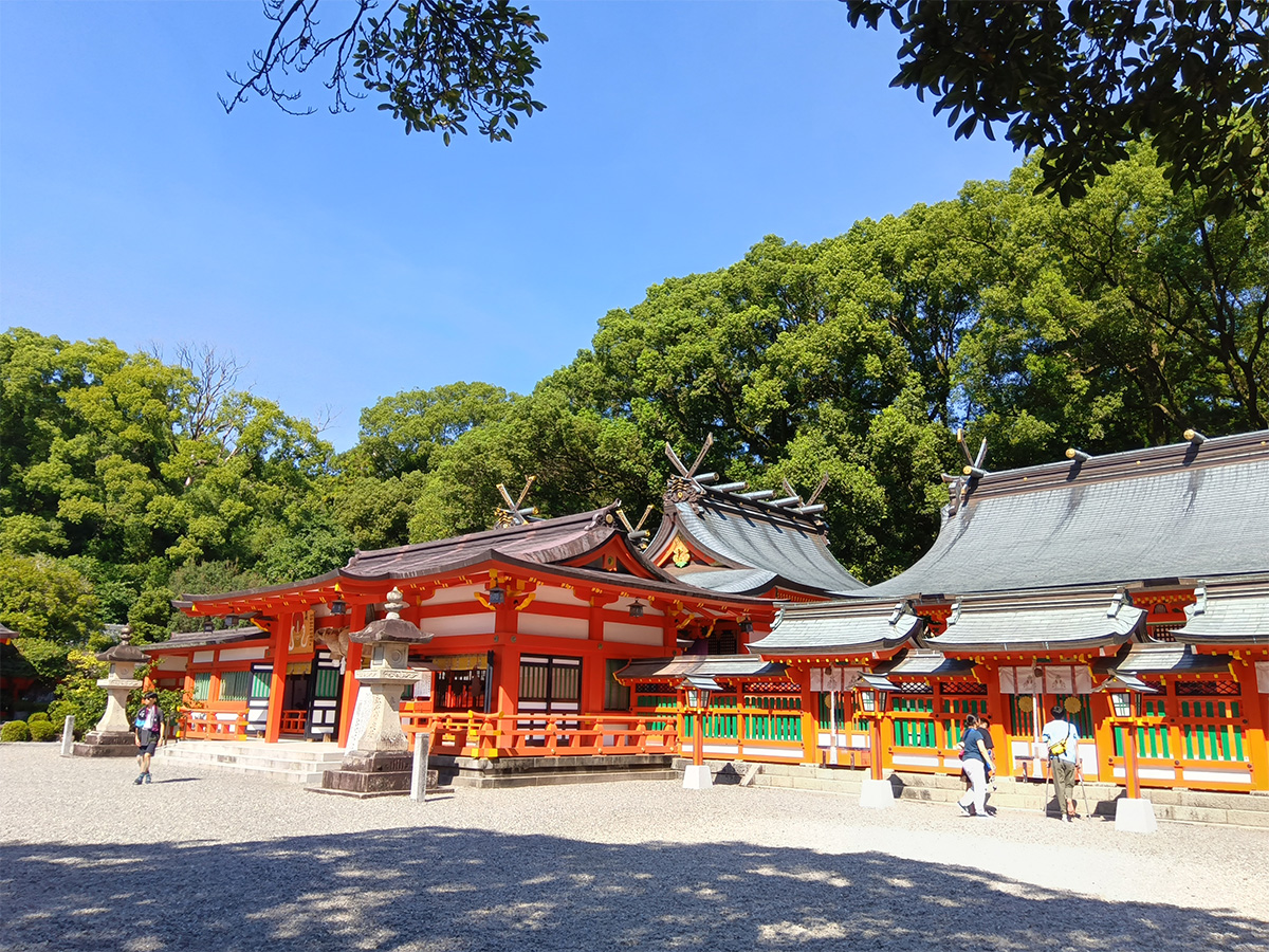 Shingu Walk (Kumano Hayatama Taisha to Kamikura-jinja Shrine) with Licensed Guide
