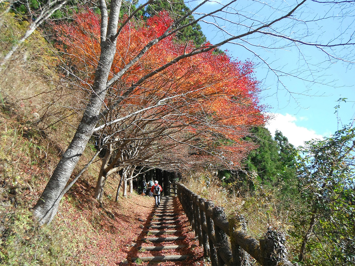 Takahara to Chikatsuyu-oji Walk with Licensed Guide